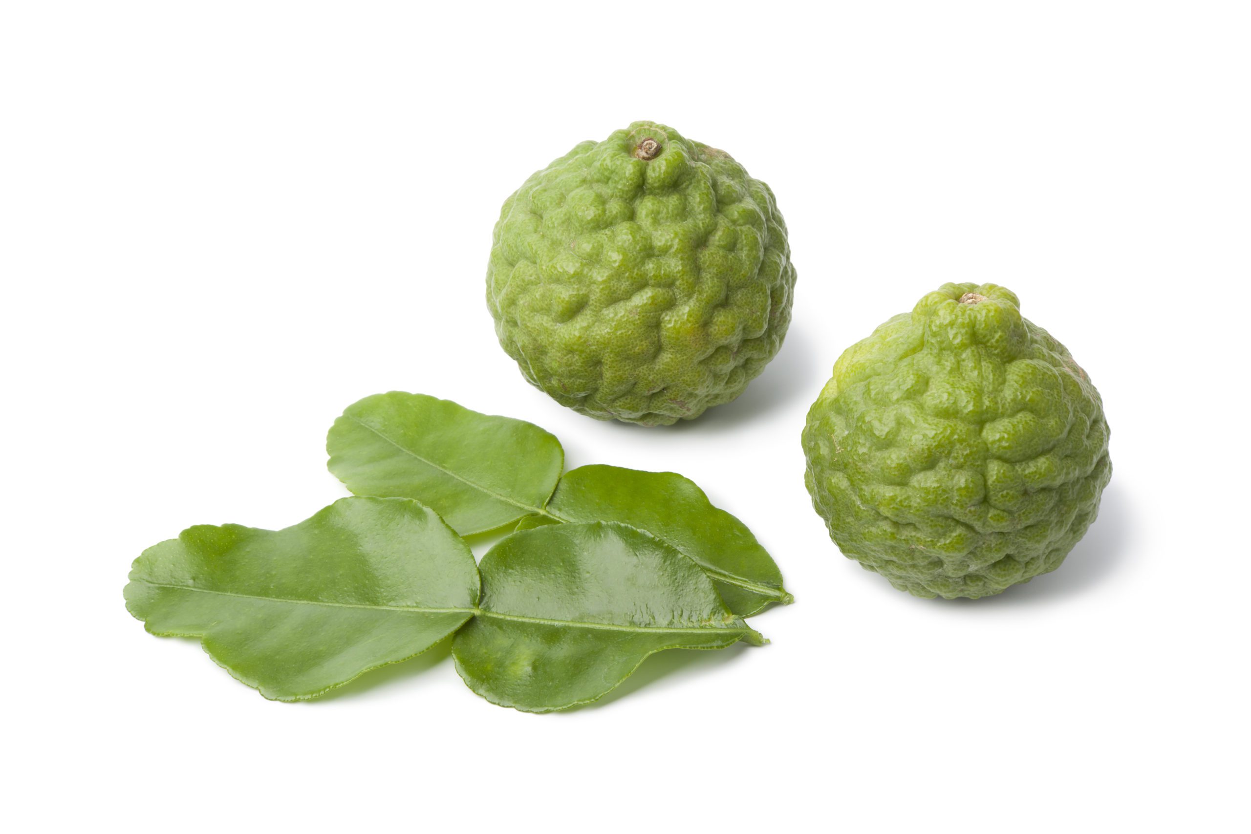 What is Kaffir Lime? What does Kaffir Lime taste like?